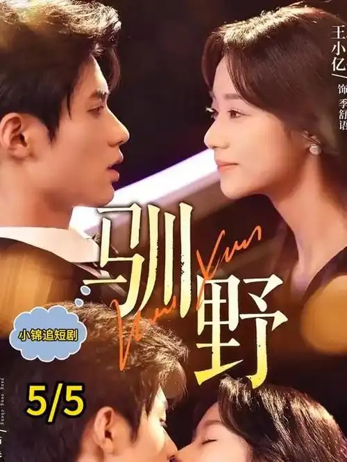 雾港 热播剧全集在线观看